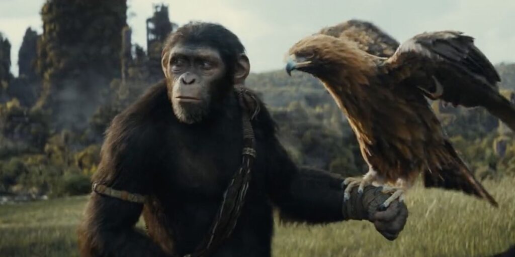 Чи є сцена після титрів фільму «Планета мавп: Нове царство» (Фото: google)