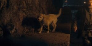 Дім Дракона: Глядачі розлючені через собаку на початку нового сезону (Фото: google)